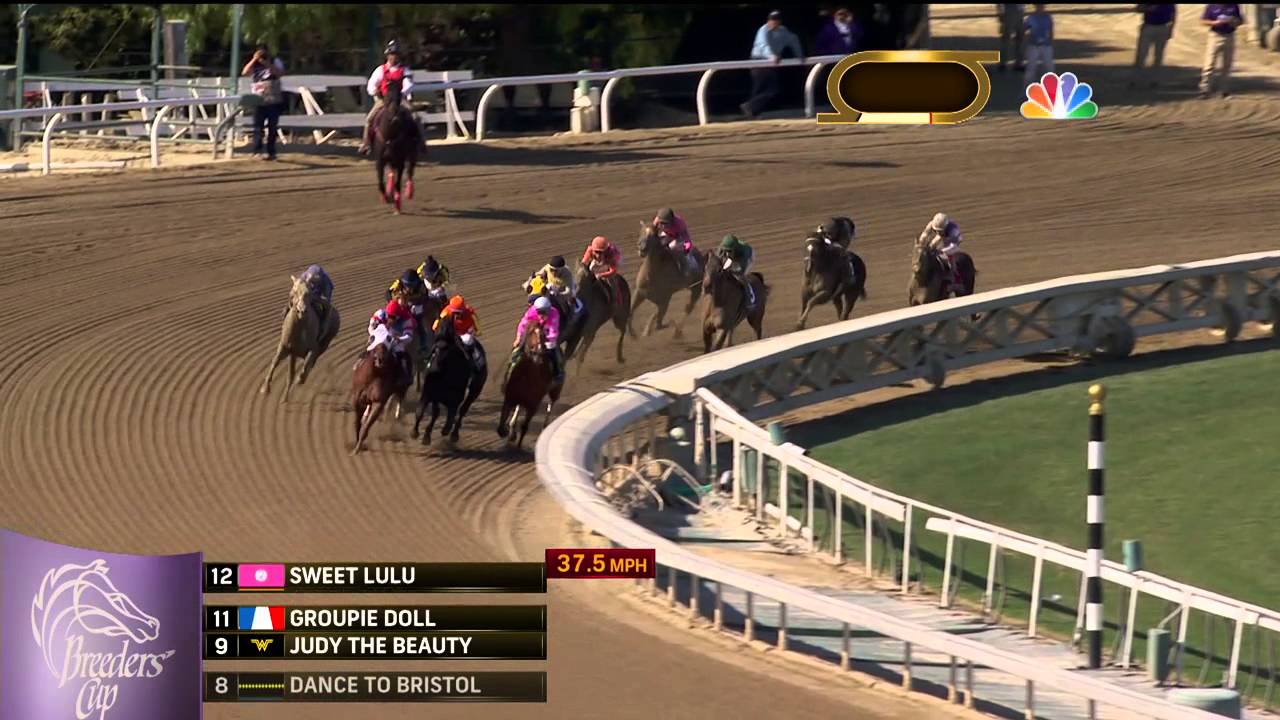2013 Breeders' Cup Filly and Mare Sprint - Groupie Doll