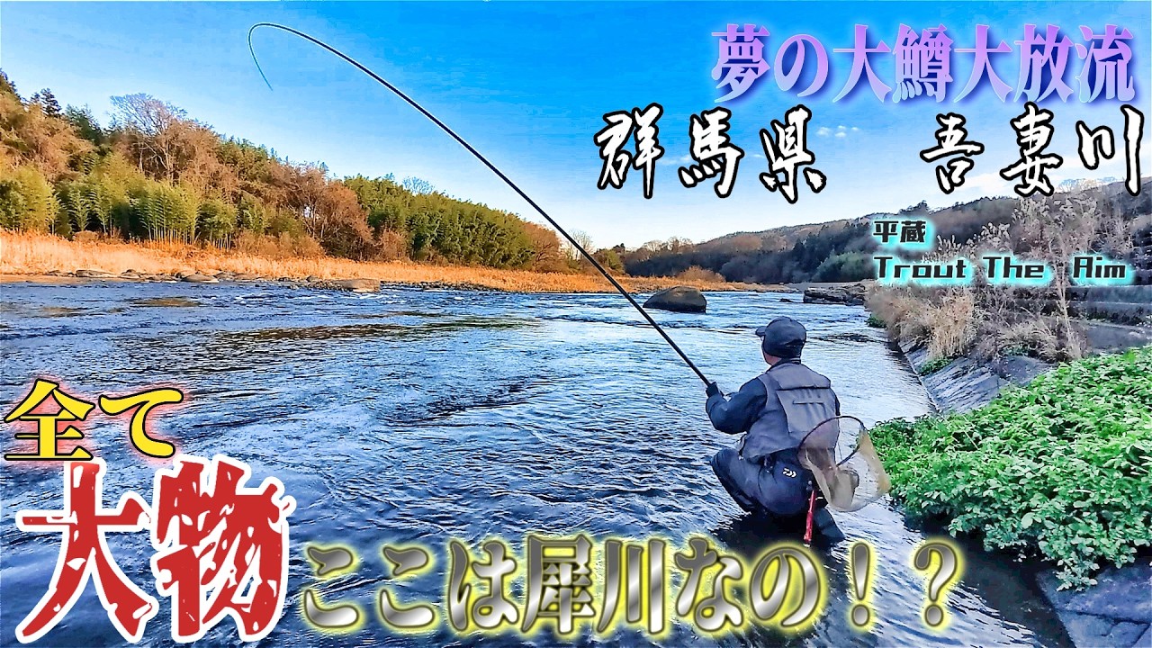 【驚愕】大鱒大放流！！釣れる魚か！？検証する（群馬県　吾妻川）
