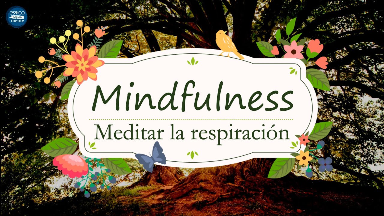 ☯  MINDFULNESS · Meditar la Respiración · Meditación Guiada · Entrenamiento Mindfulness