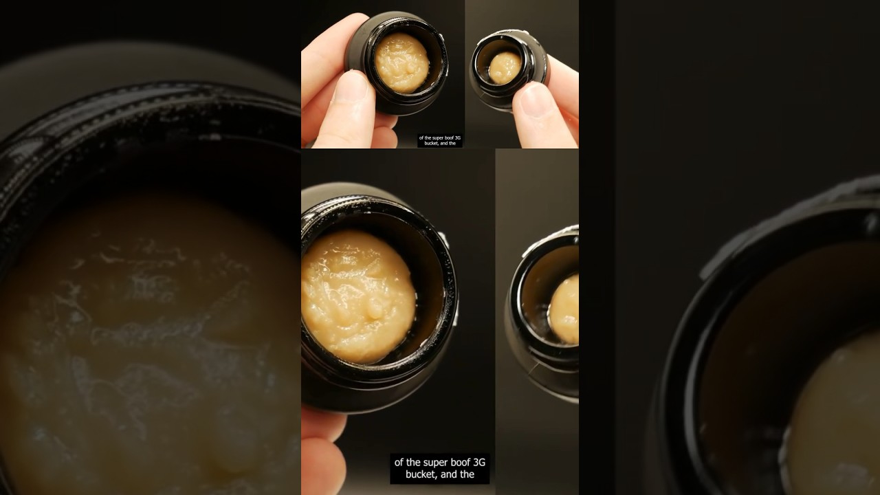 Florida MMJ Showdown: Super Boof VS. Tropicana 🍊 #rosin #shorts