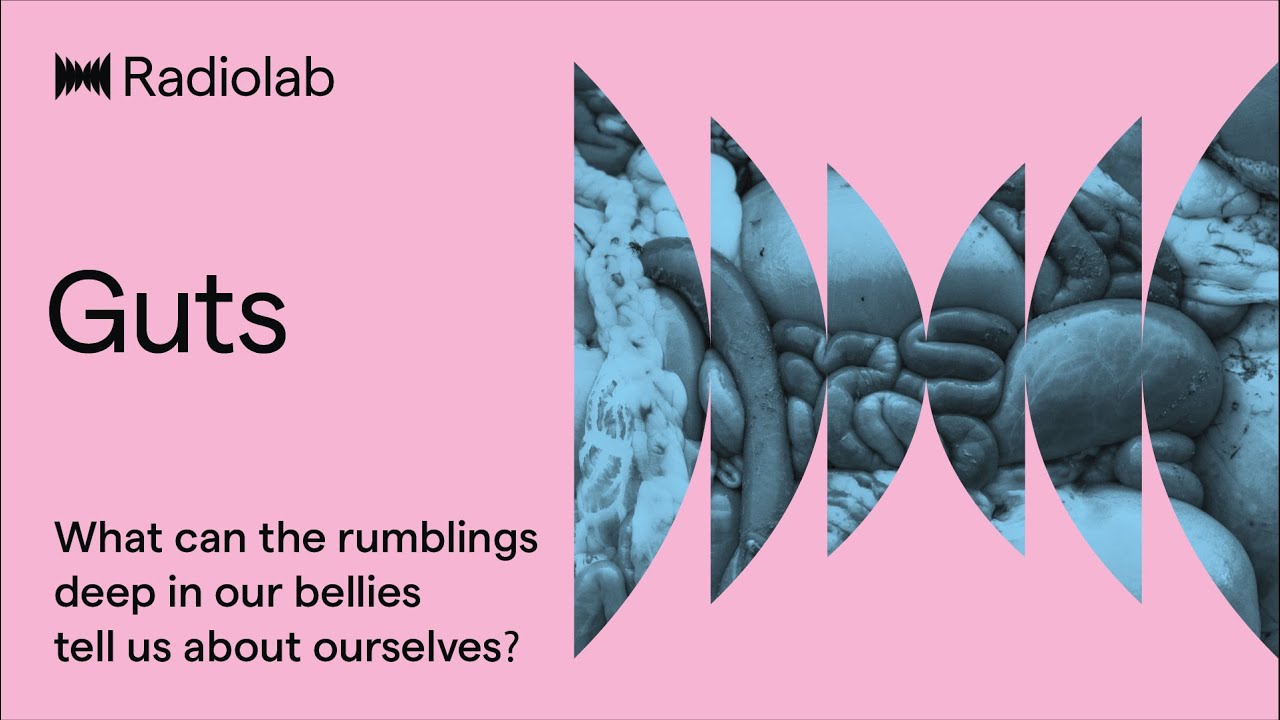 Guts | Radiolab Podcast