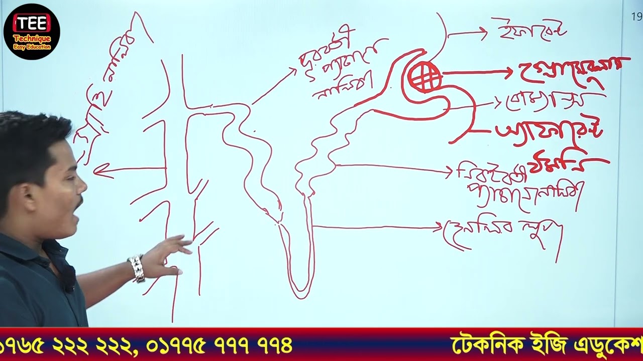 কুমিল্লা বোর্ড ২০২৪ | অধ্যায় ০৮ | রেচন প্রক্রিয়া | এসএসসি জীববিজ্ঞান | SSC Biology Chapter 8