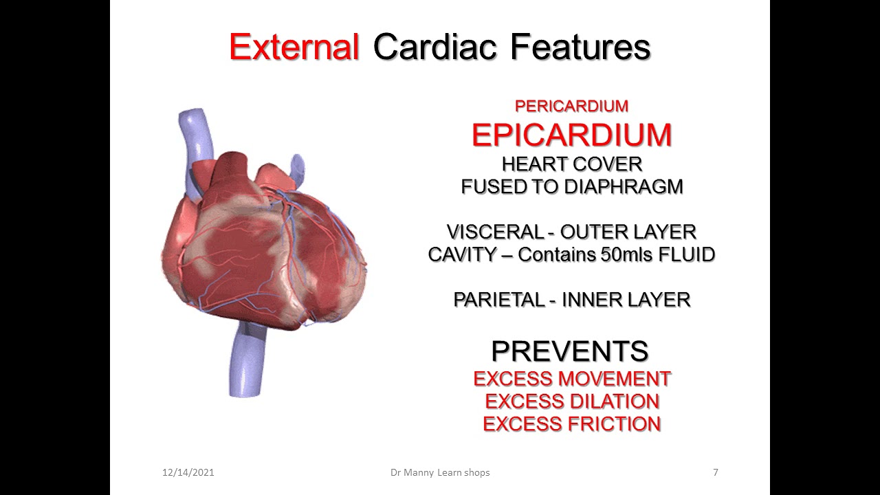 Dr Manny Learn shop Cardiac surgery for Nurses part 1