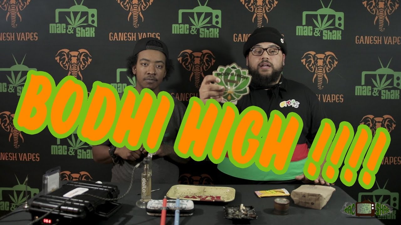 Mac and Shak STRAIN REVIEW /// BODHI HIGH ALMOST KILLED MAC !!!