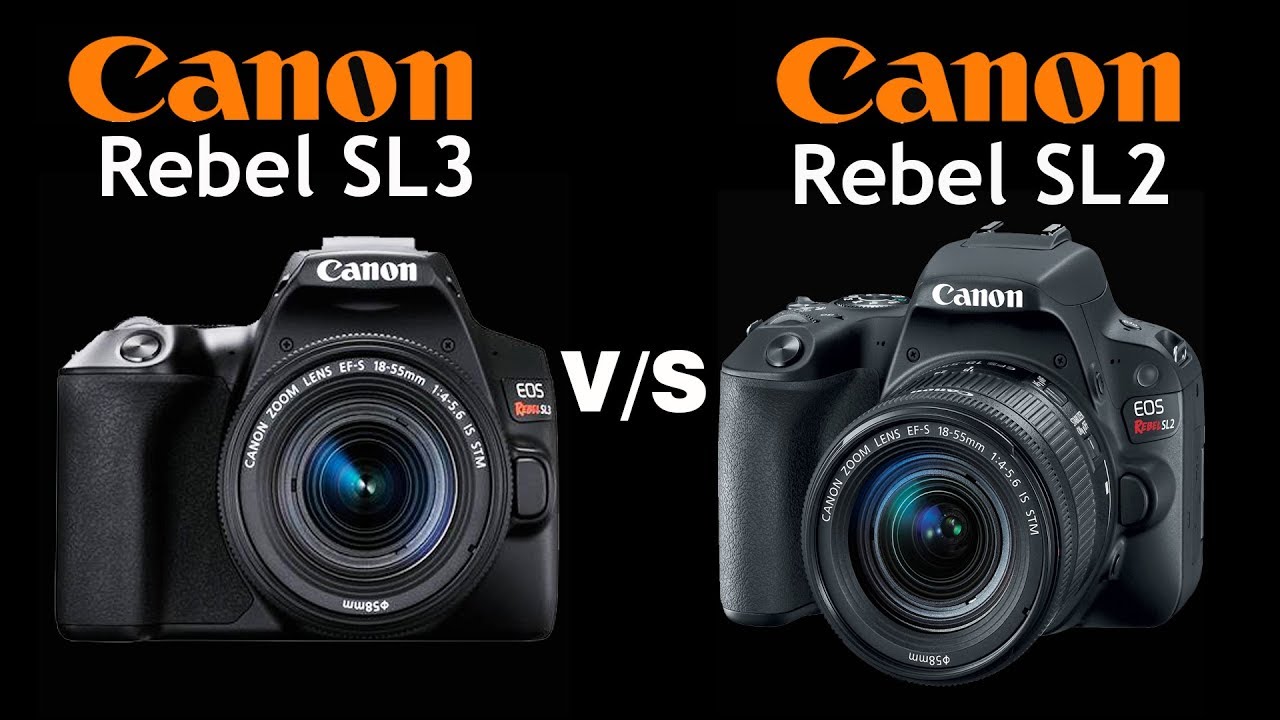 Canon Rebel SL3 Vs Canon Rebel SL2  | Quick Camera comparison