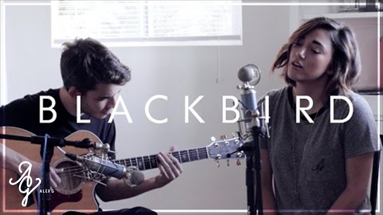 Blackbird (Beatles) | Dining Room Sessions | Alex G