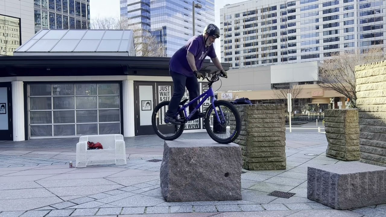Q1 Trials Report (2024)