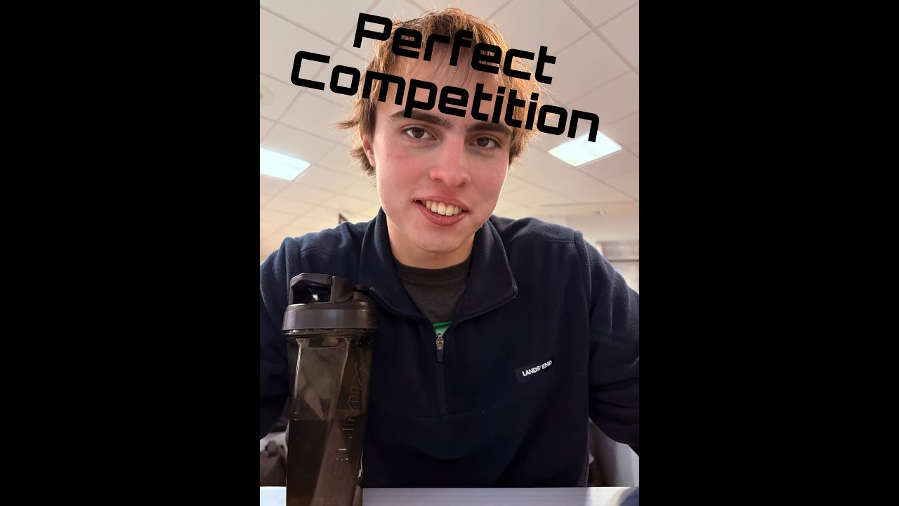 Perfect Competition Midterm Project