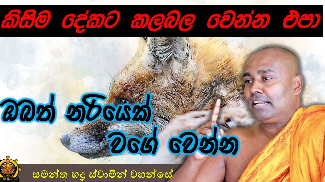 ඔබේ ජීවිතයට වටින බණ දේශනයක් | සිරි සමන්ත භද්‍ර හිමි | bana deshana | #dahammankada