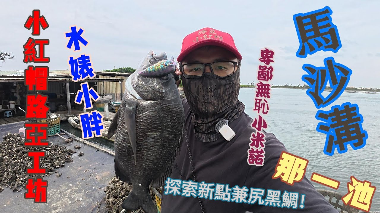 『馬沙溝』路亞黑鯛、路亞紅糟、走棚、路亞釣點、路亞、假餌、根魚、Lure fishing、水婊小胖、路亞教學、假餌釣魚、路亞釣魚、ルアー、#fishing#lurefishing #根魚