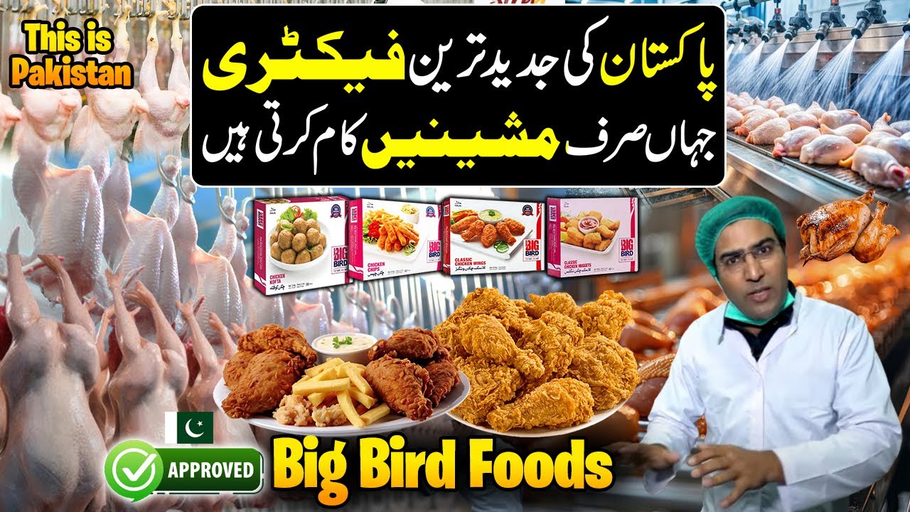 Big Bird Foods | Pakistan's Modern Chicken Meat Processing Factory | Largest Frozen Chicken Plant