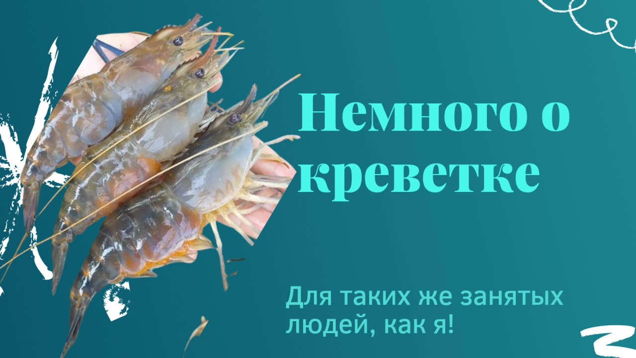 Немного о креветке. Фишка о линьке.