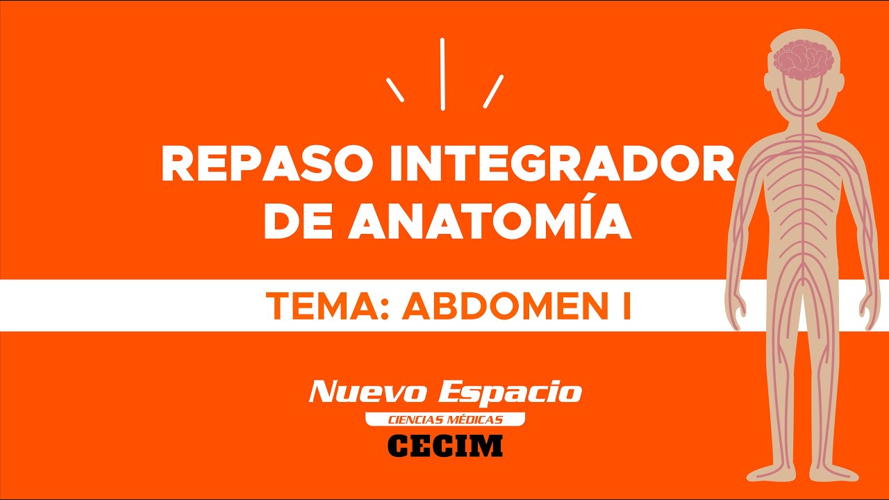 ABDOMEN I - Repaso integrador de Anatomía para Medicina