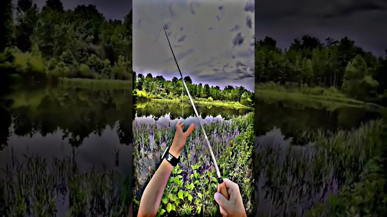 They stuff fly fishermen dont talk about.  #flyfishing #flyfish #flyfishingnation #flyfishinglife