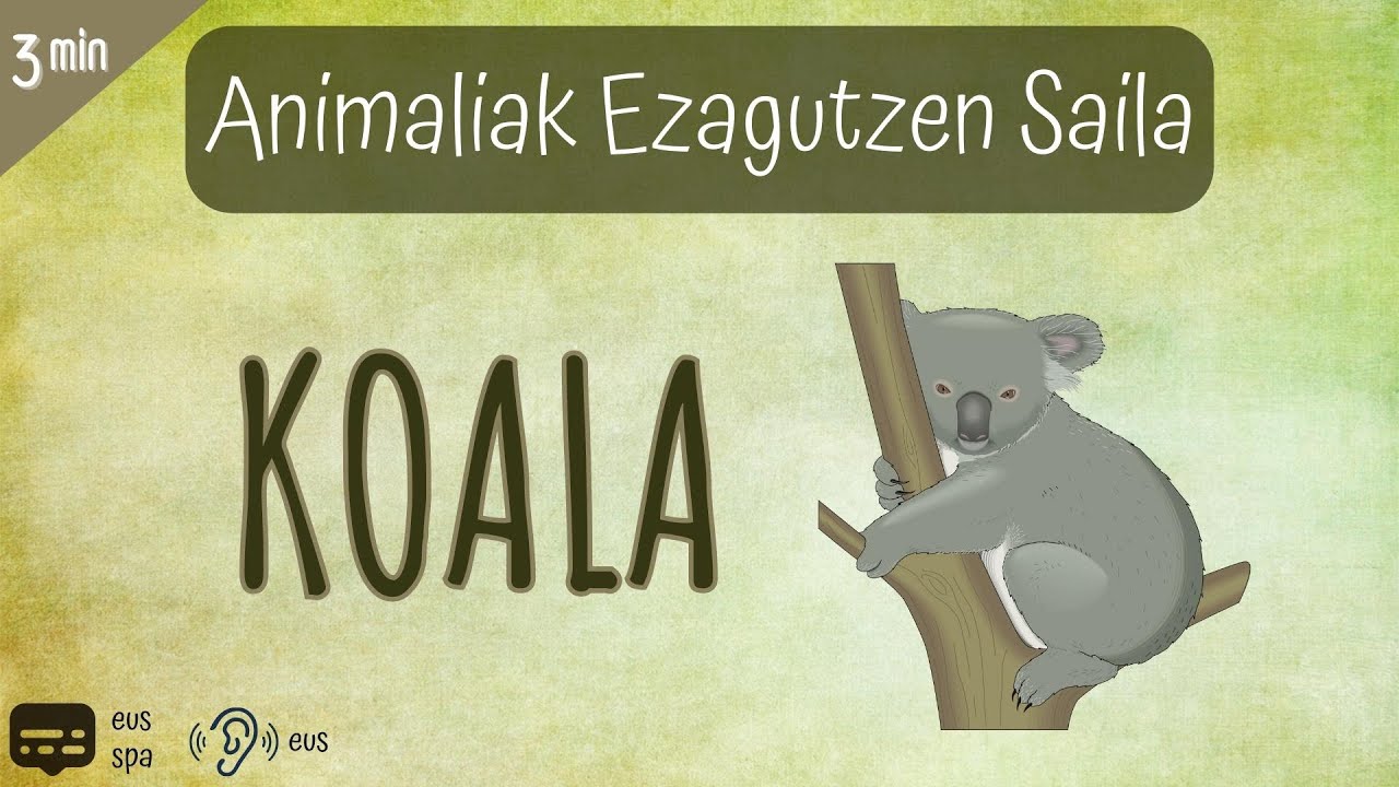 Animaliak 1x01 KOALA | Munduko animaliak | Ugaztunak