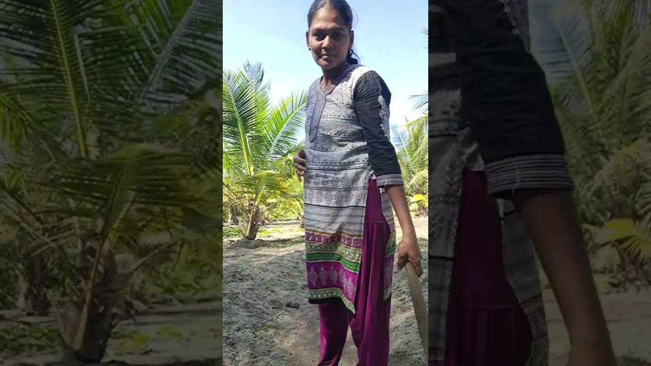 Elangavi ramachandran 1366