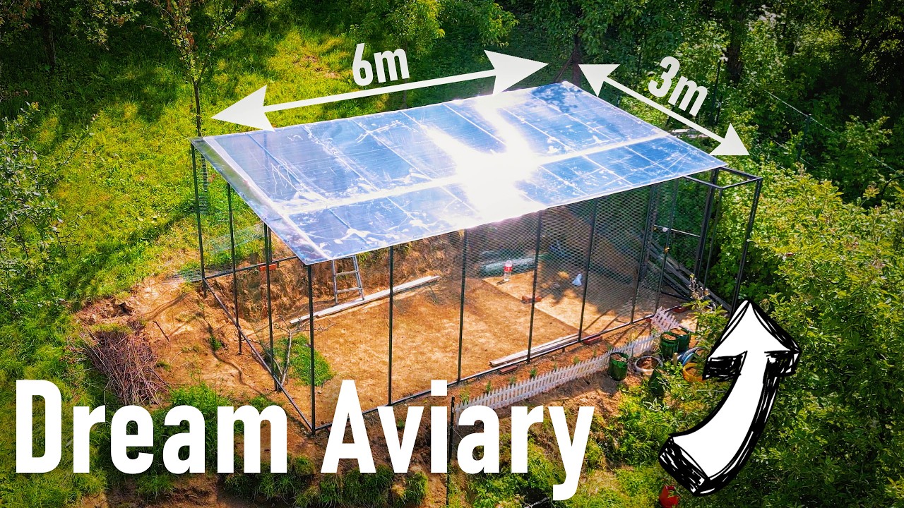 Building My Dream Aviary!