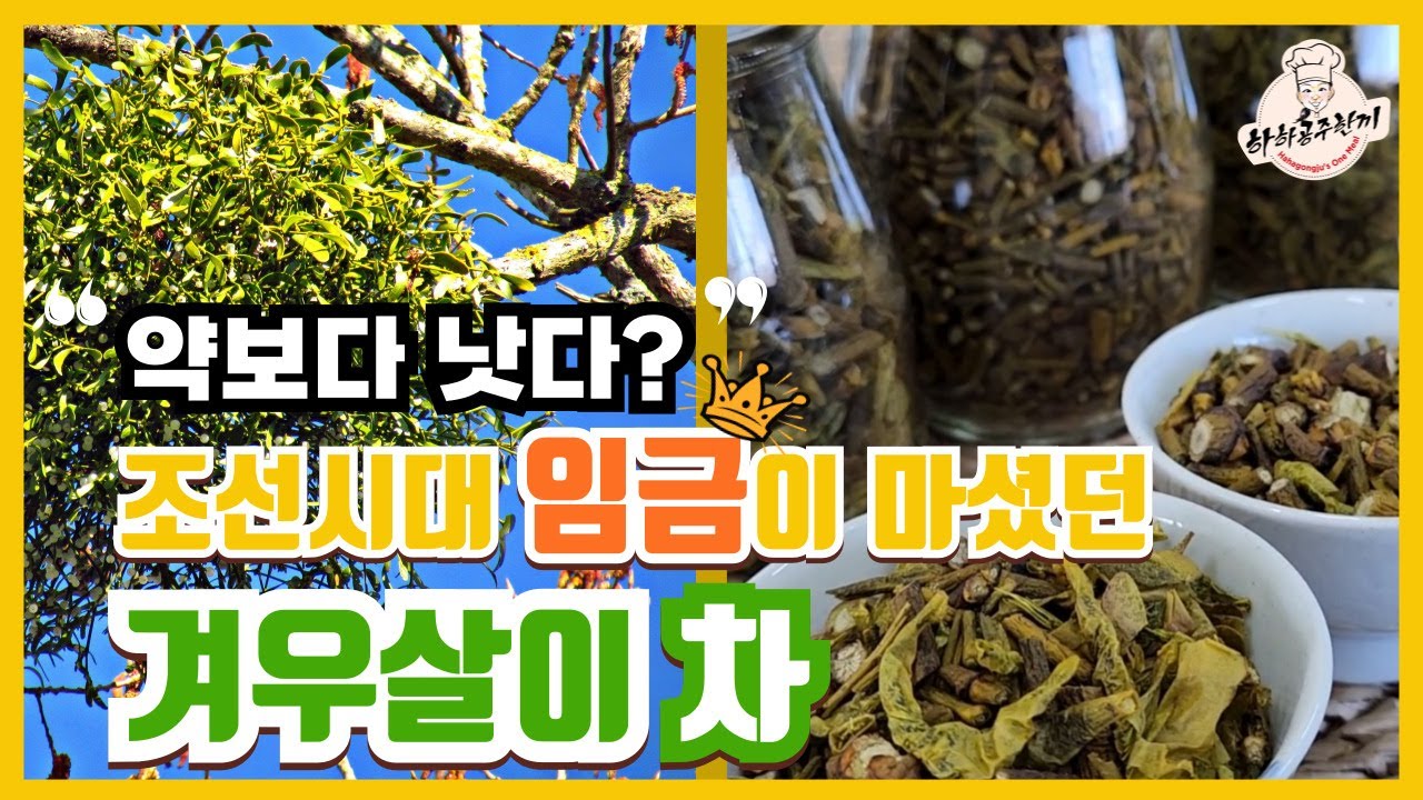 🍃겨우살이차 만들기! 겨울에 마시면 좋은 차 #겨우살이차 #겨우살이차끓이는법 #겨우살이효능 #겨우살이차만드는법 #겨우살이주효능