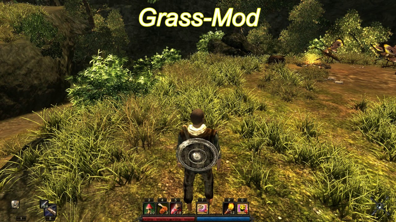 Моды для Risen: TitanDMGx3, Fighttraining for Lizards, Grass-Mod.