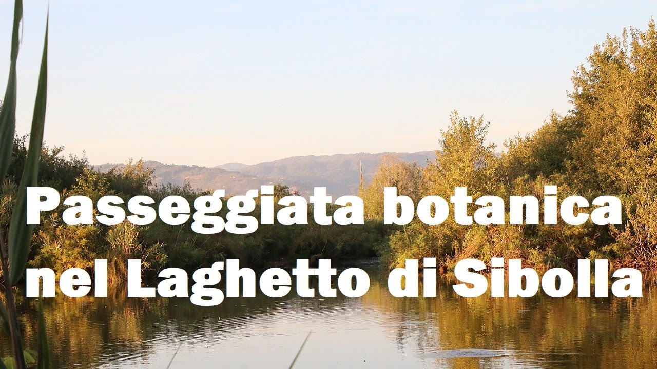 Visita al Laghetto di Sibolla - Altopascio, LU (parte II)