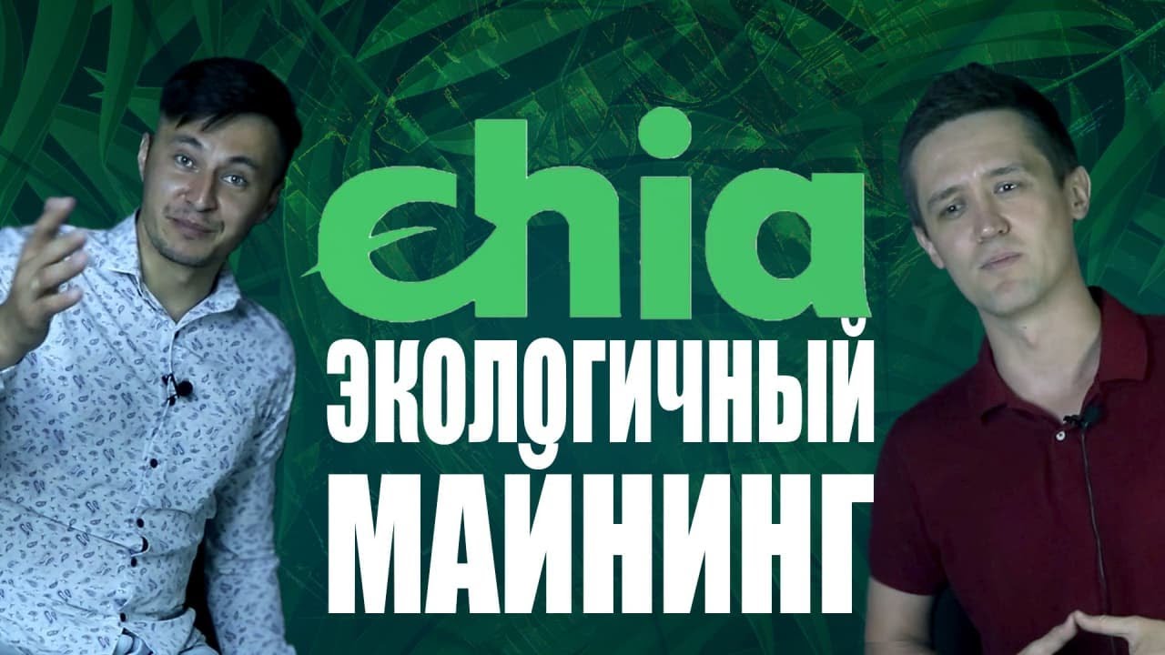 Фарминг на жестких дисках. Одна из самых перспективных монет в 2021. Chia
