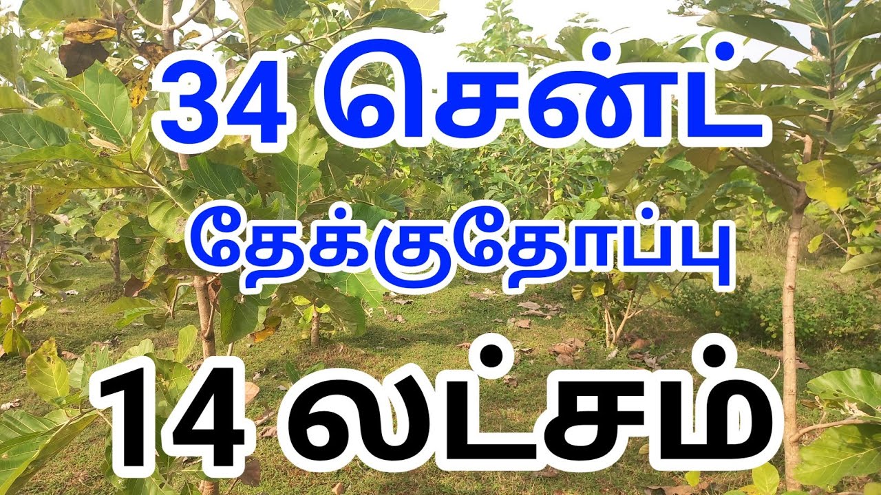 14 லட்சம் மட்டும்!!😱💥Urgent Sale | Emergency #Lowbudget #farmland #trending #realestate #sale #actor