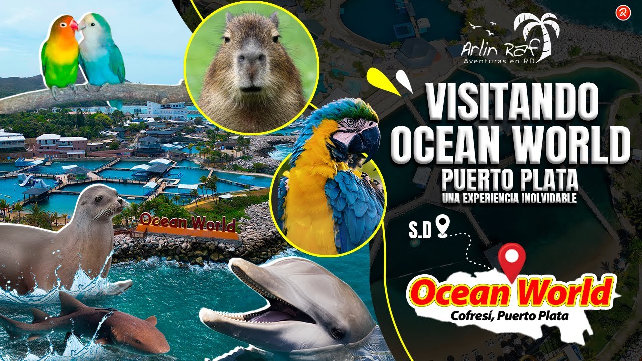 “¡INCREÍBLE! Descubre todo lo que incluye Ocean World en RD 🐬🌊”
