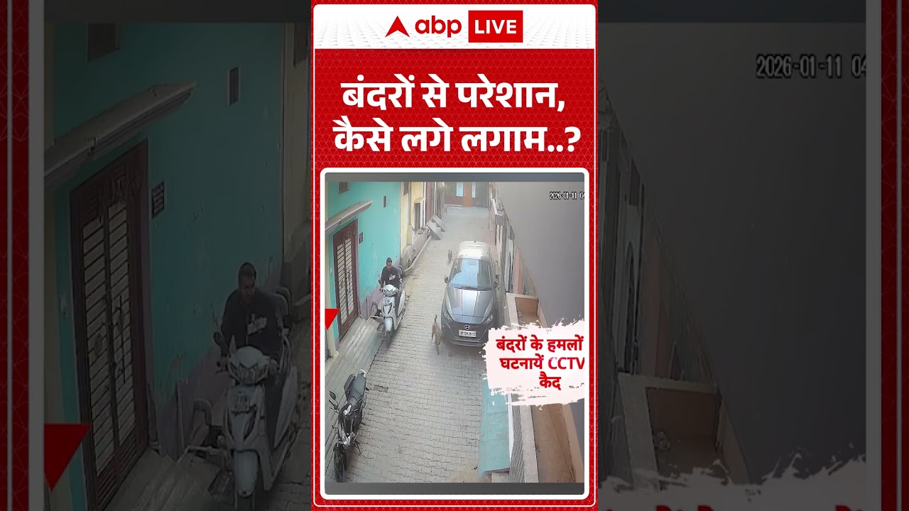 UP News:बंदरों से परेशान, कैसे लगे लगाम? | Kashi | Local News | Animal Control | Shorts