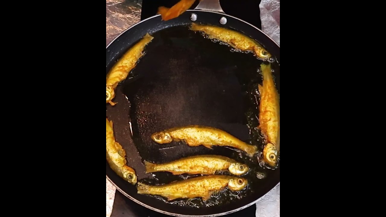 Desi Chela Fish
