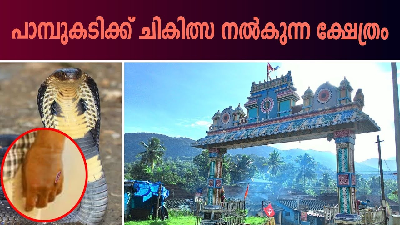 അത്താഴ പൂജ കഴിഞ്ഞാലും നട തുറക്കുന്ന അപൂർവ്വ ക്ഷേത്രം| Achankovil Sree Dharmasastha Temple