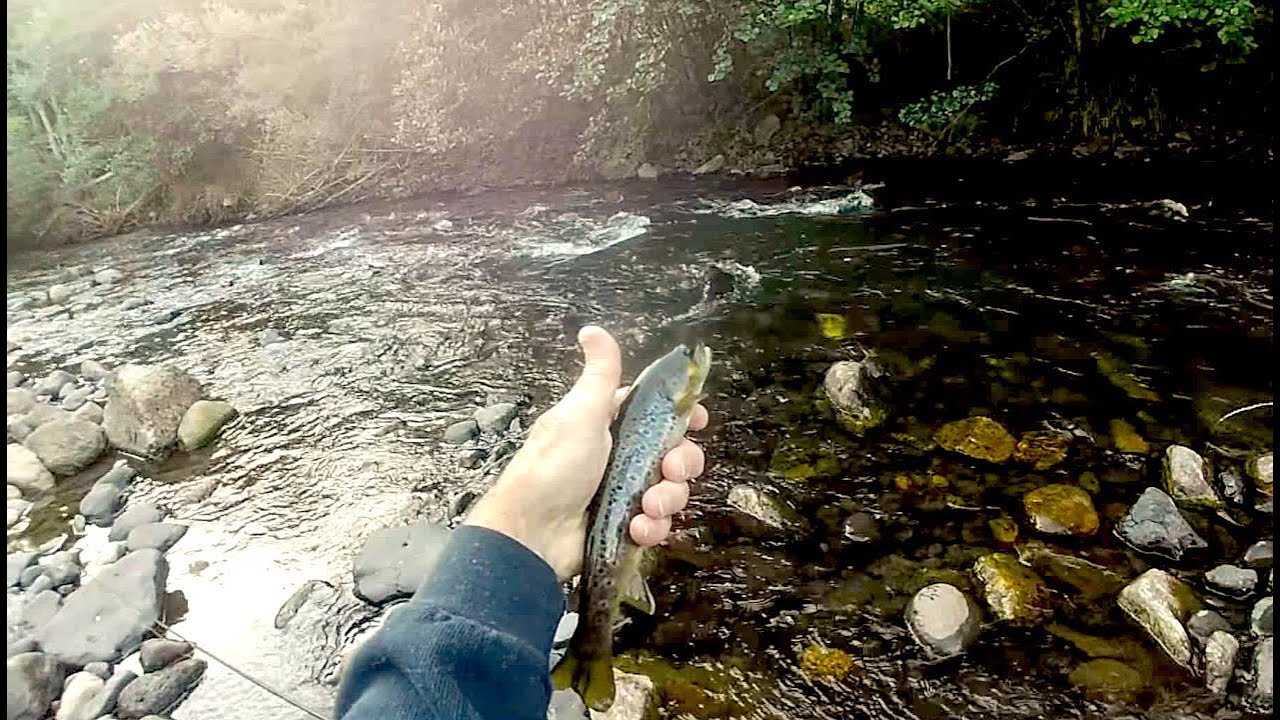 p&ecirc;che &agrave; la mouche s&egrave;che et &agrave; la nymphe sur l'Alagnon