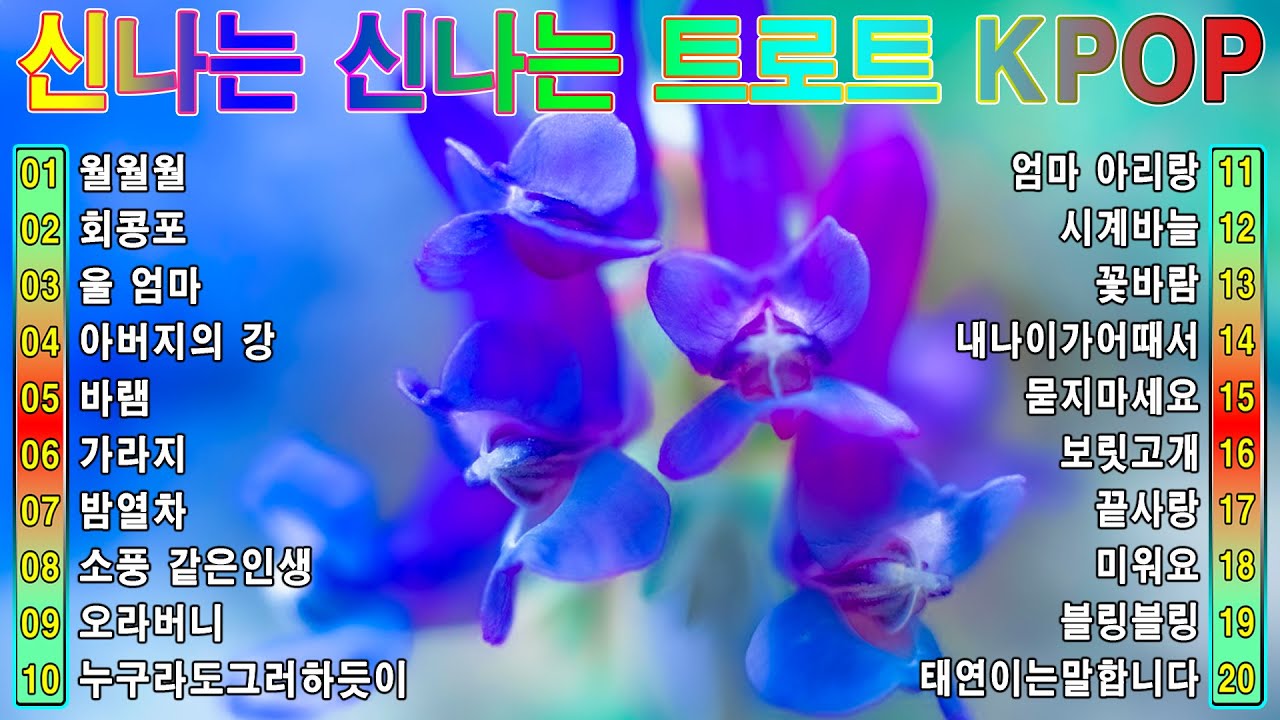[ TOP ] 신나는 신나는 트로트 KPOP (TROT) PLAYLIST ☘️ ( 꽃길.상사화.여인의 눈물.회룡포.바람길...) #Kpop