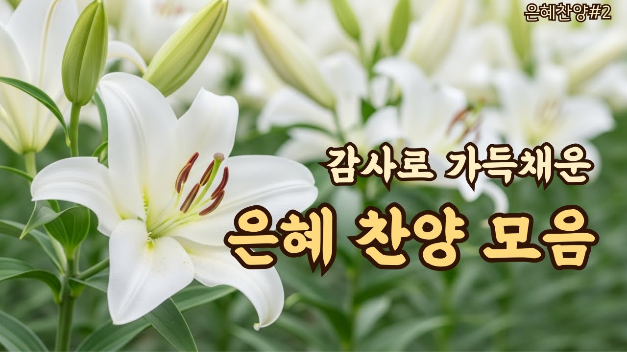 감사로 가득한 은혜찬양 | 평강의소리 | 말씀찬양 | #2