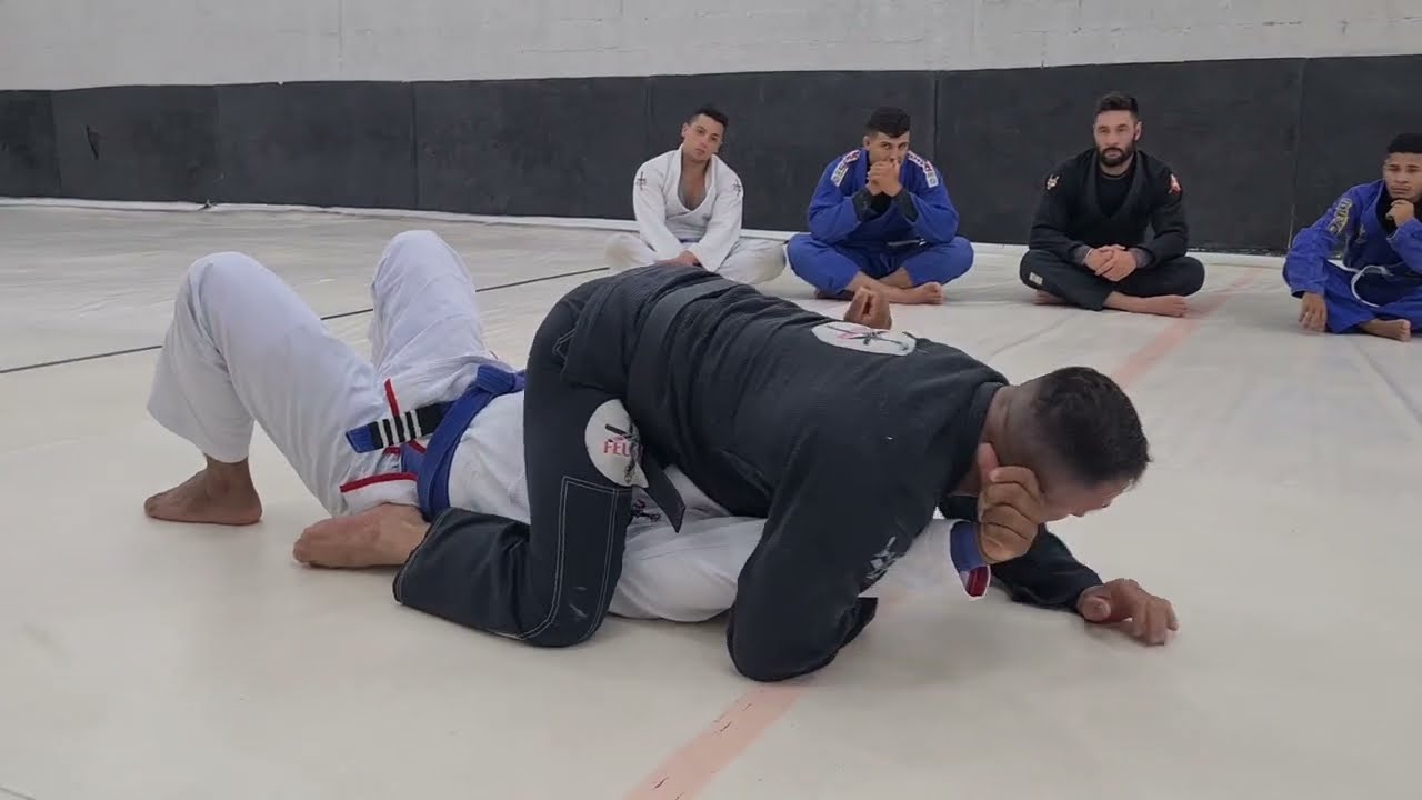 Simples jogo da guarda fechada com finaliza&ccedil;&atilde;o e raspagem feubjj