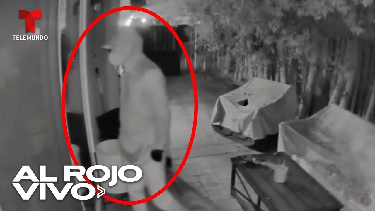 Captan a sujetos robando casa mientras los dueños están de vacaciones en Los Ángeles