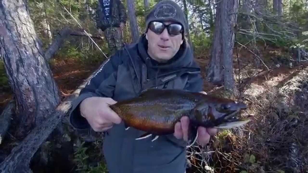 Targeting Brook Trout for Science with April Vokey - Dave Mercer's Facts of Fishing