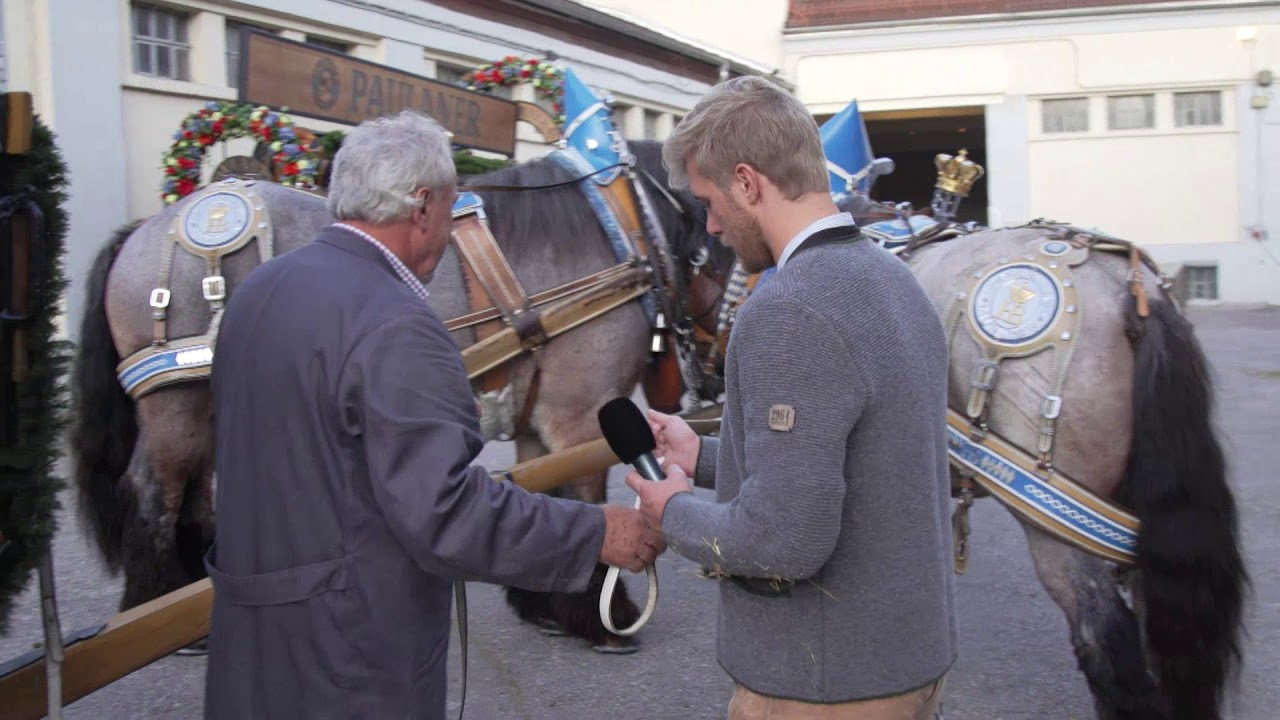 Wiesn Jobs 2019 - Sebastian als Rosserer Teil 3