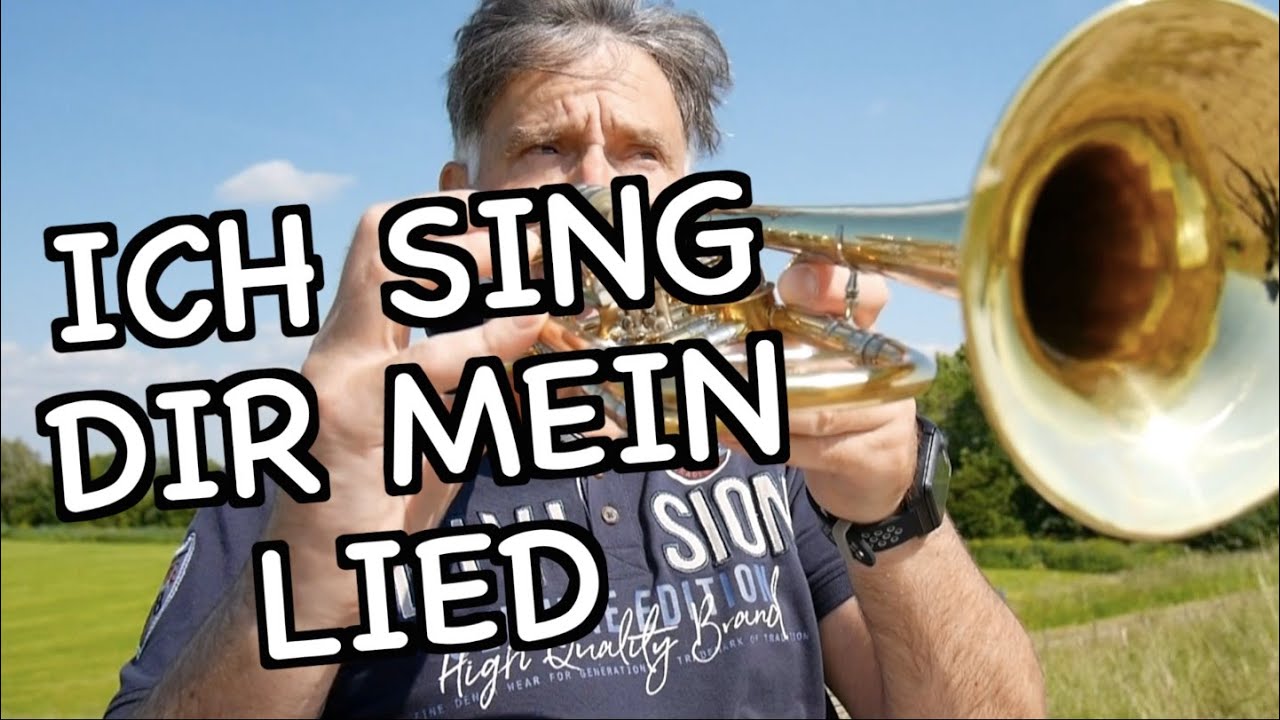 Ich sing dir mein Lied - Arrangement für Posaunenchor von Traugott Fünfgeld