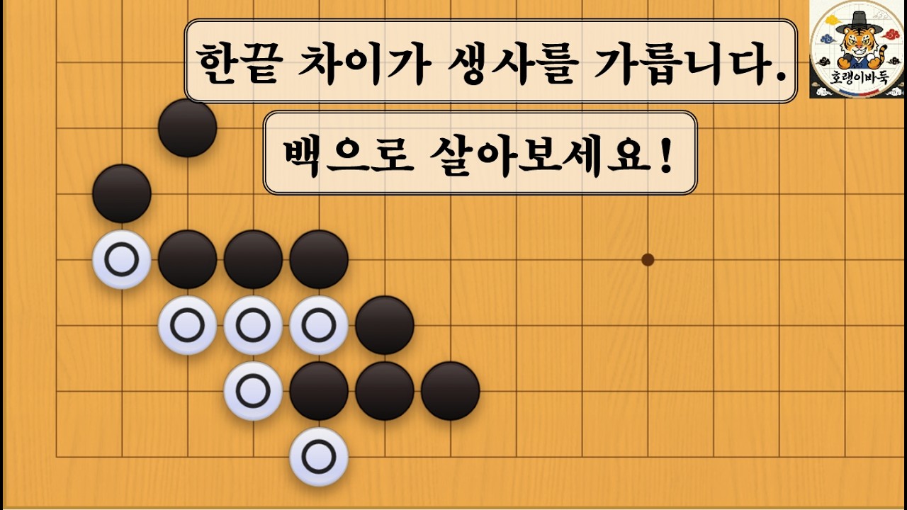 [바둑 사활] 한끝 차이가 생사를 가릅니다
