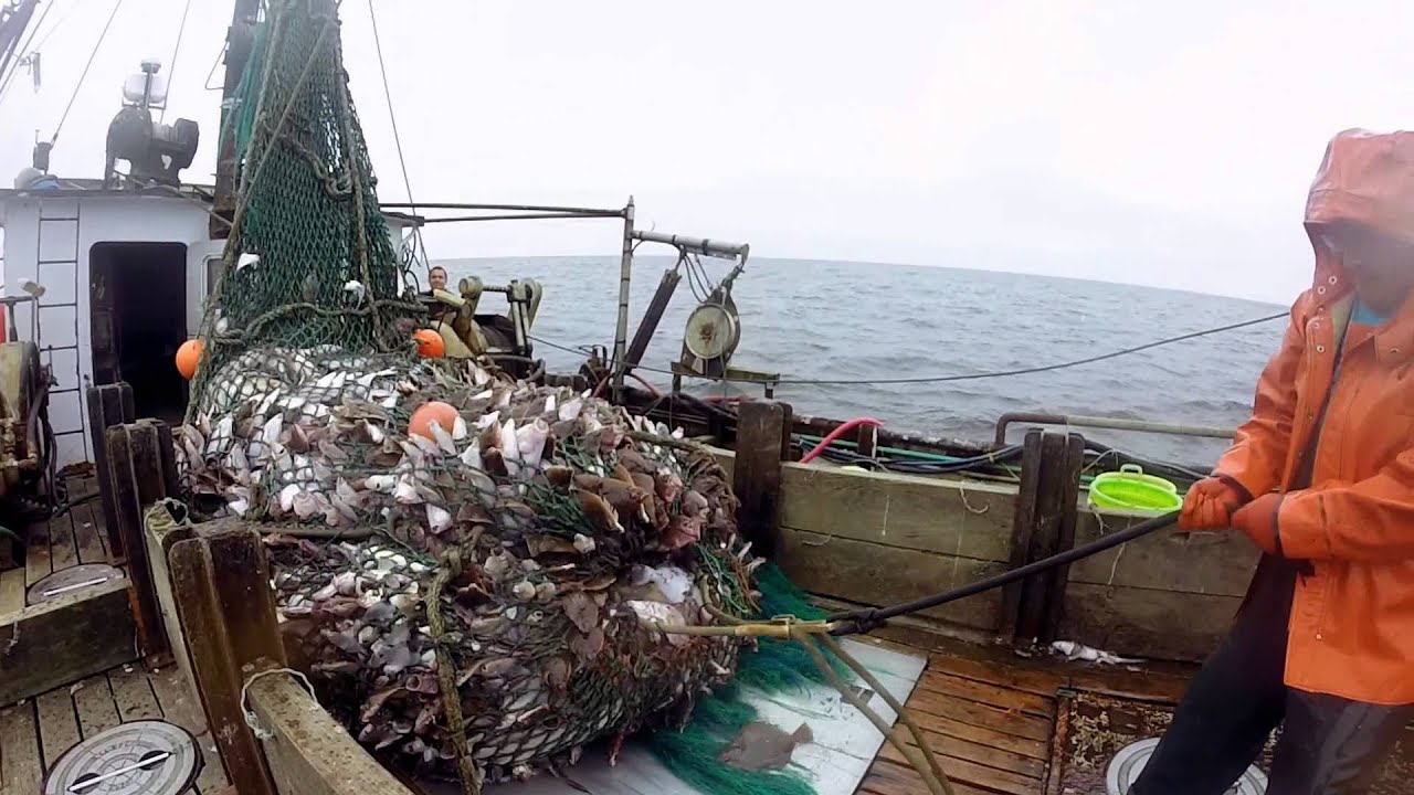 Bottom trawler