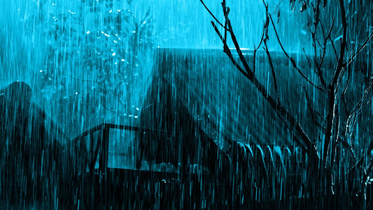 Sonido De Lluvia Para Dormir Con Lluvia Fuerte Y Truenos En Bosque Brumoso La Noche