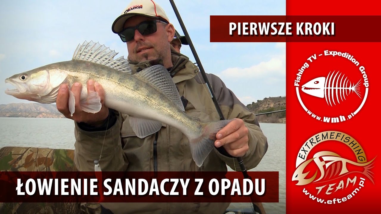 Sandacz na spinning - Łowienie sandaczy z opadu pierwsze kroki