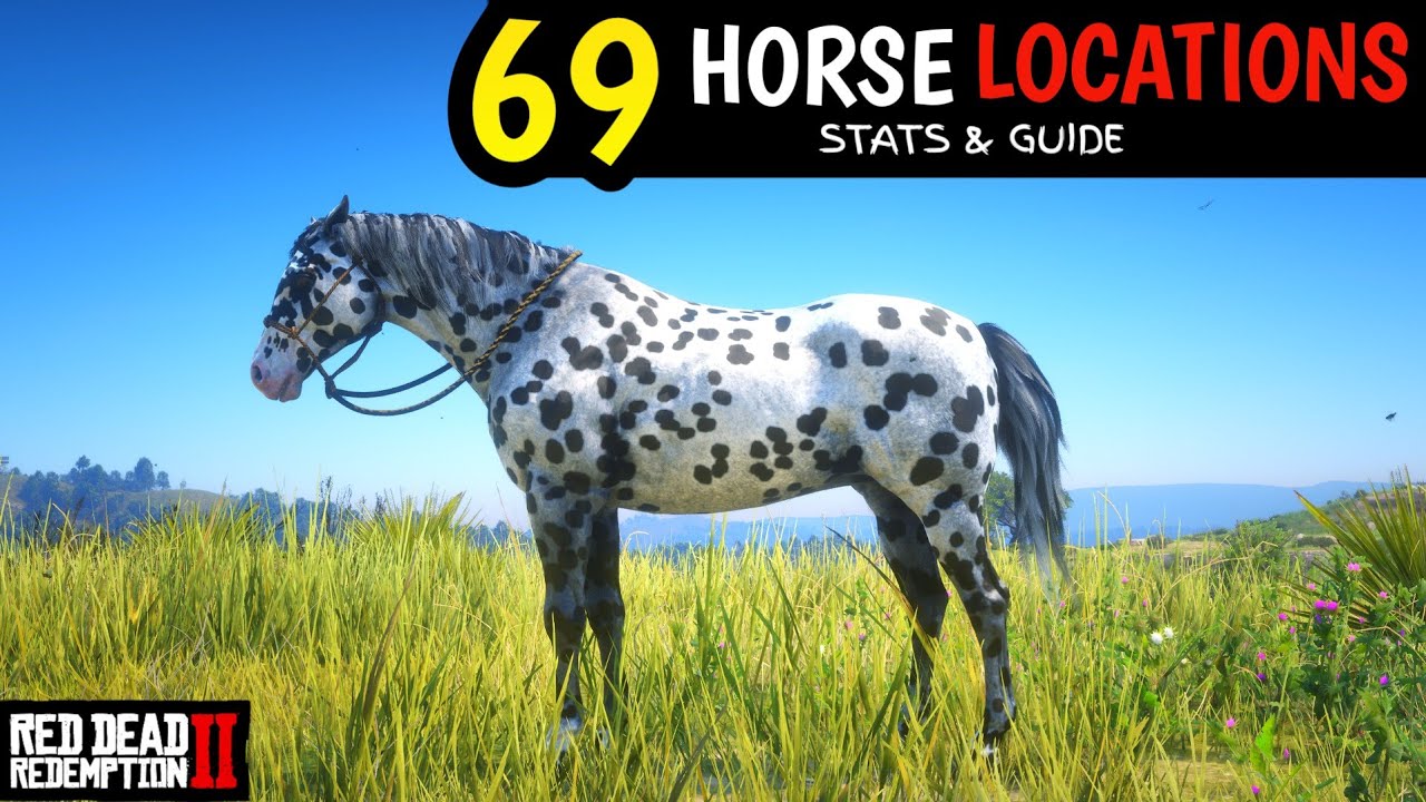 Все 69 уникальных лошадей с указанием местонахождения на карте в Red Dead Redemption 2