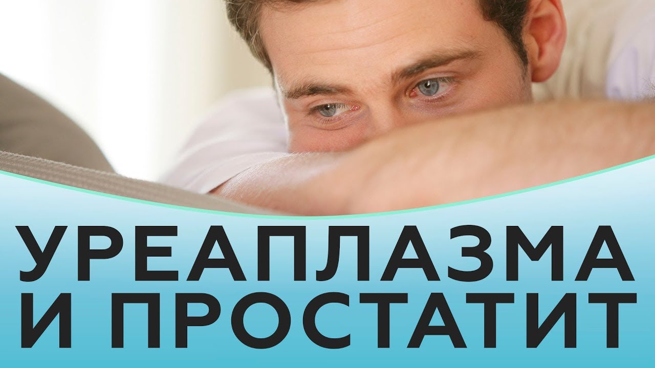 Уреаплазма и простатит