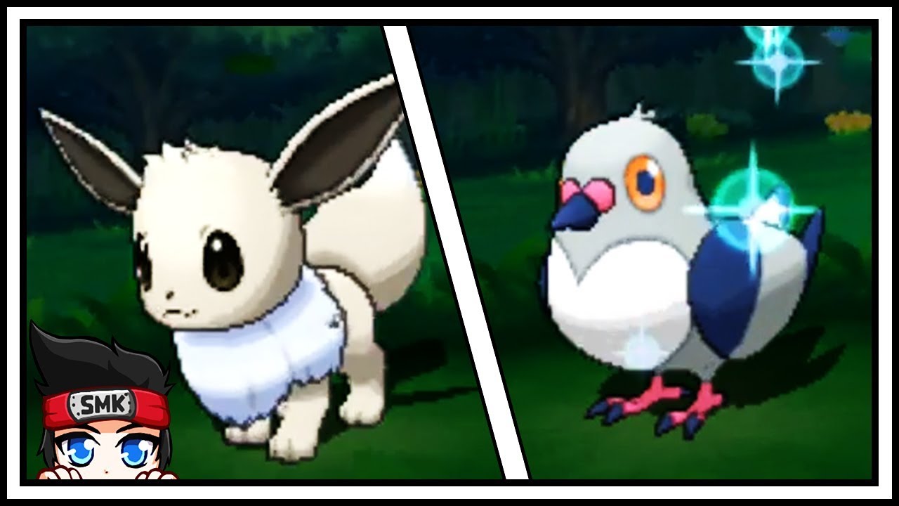 BACK to BACK Shiny Pokemon! Shiny Eevee & Shiny Pidove via DEXNAV