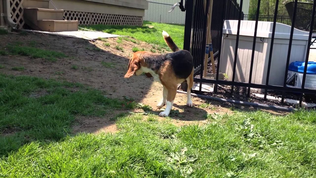 Welcome Home, Frannie!