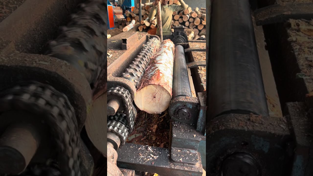 Wood peeling work inside sawmill 👌🪵| Plywood making debarking machine work🌲|