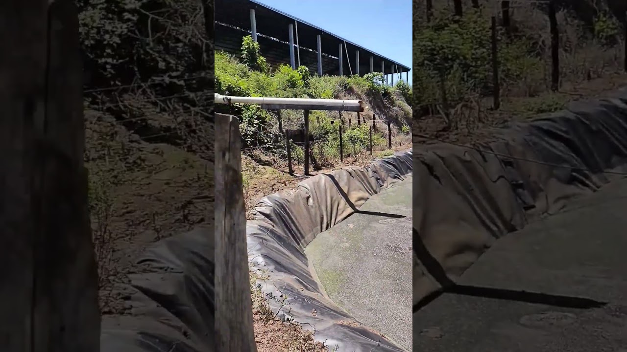 Lagoa de dejetos cheia, com misturador El&eacute;trico #pecuarialeiteira #aduboorganico #ruralfankhauser