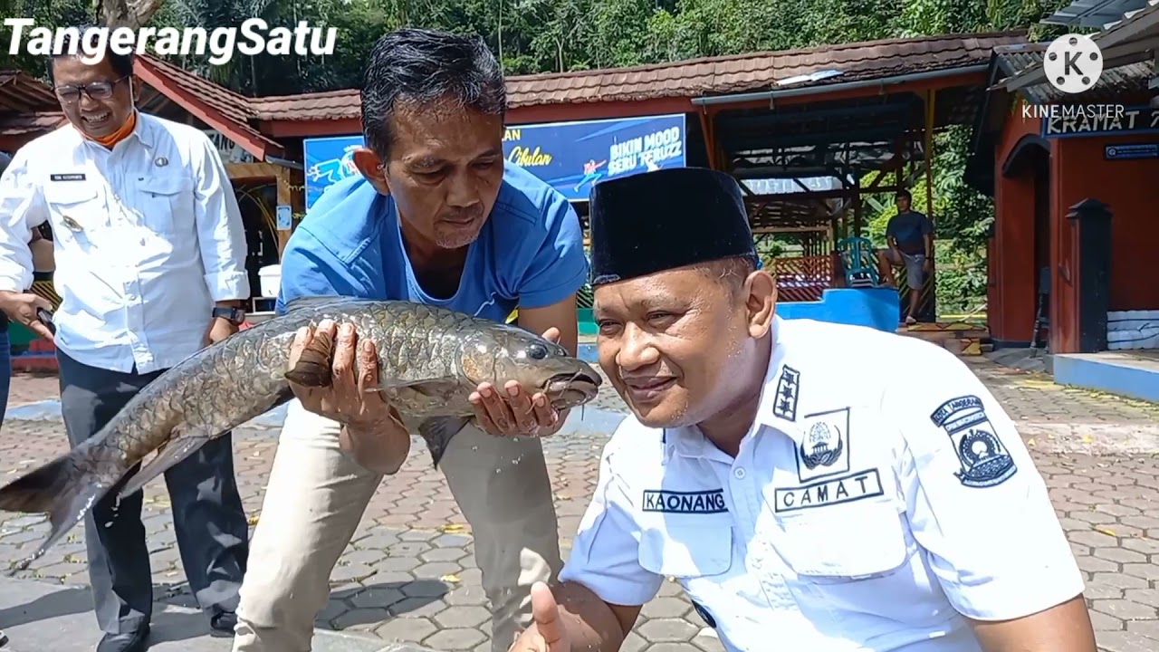 Ikan Dewa dan Sumur Tujuh Cibulan Jejak Prabu Siliwangi di Kabupaten Kuningan