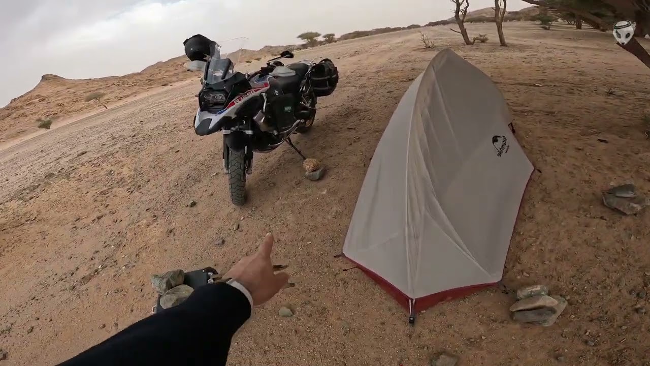 كشته بالشبيكية